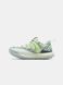 Кросівки Nike ACG Mountain Fly 1601_1 фото 1