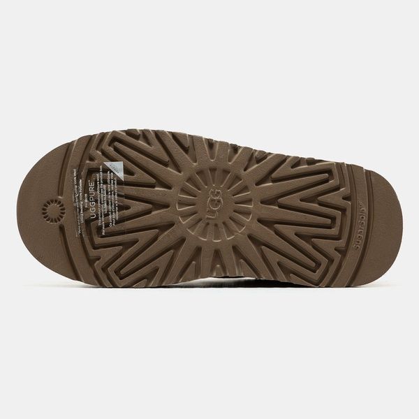 Кросівки UGG Tasman Platform 2531_1 фото