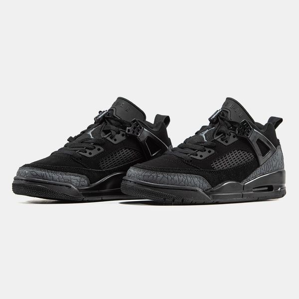Кросівки Nike Air Jordan Spizike 2848_1 фото