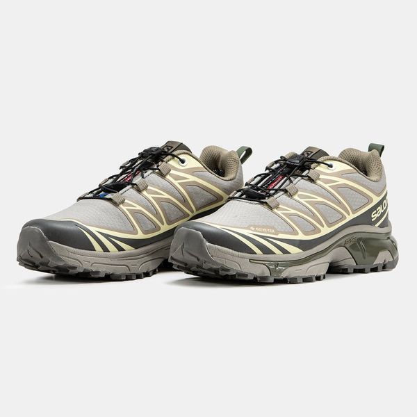 Кросівки Salomon XT-6 Soft Ground | Gore-Tex | Термо 1648_1 фото